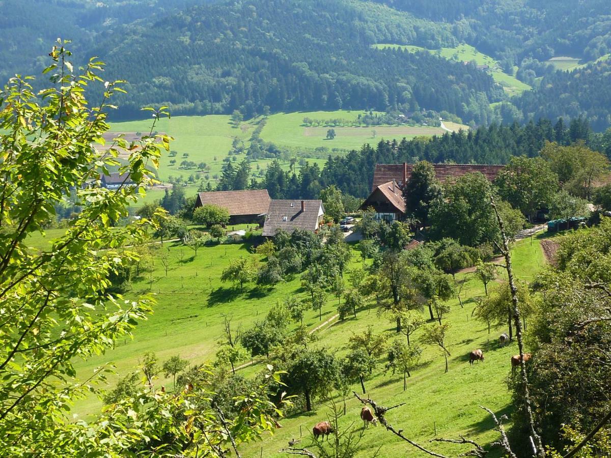 Ferienhaus Eck Villa Zell am Harmersbach Exteriör bild