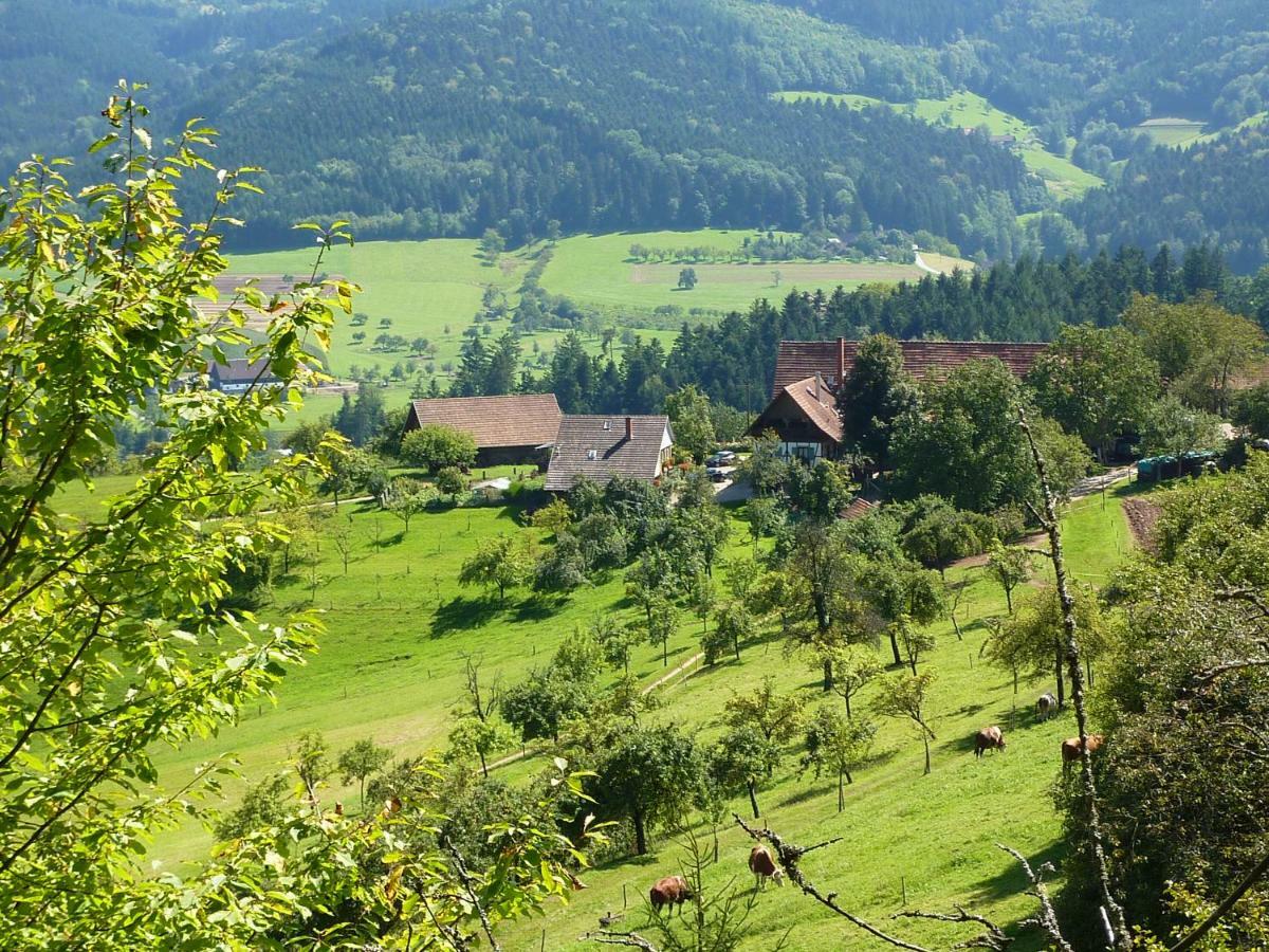 Ferienhaus Eck Zell am Harmersbach Exteriör bild
