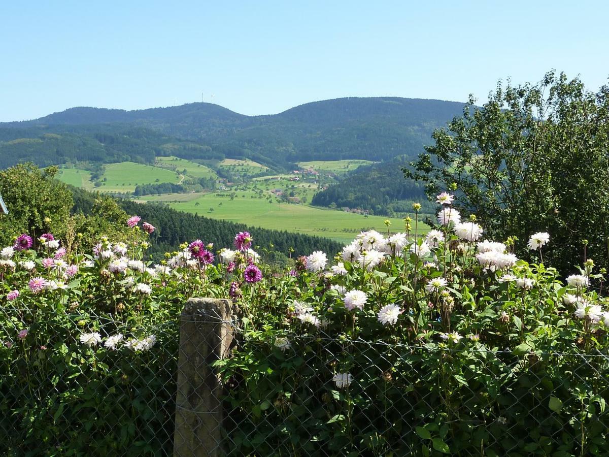 Ferienhaus Eck Villa Zell am Harmersbach Exteriör bild