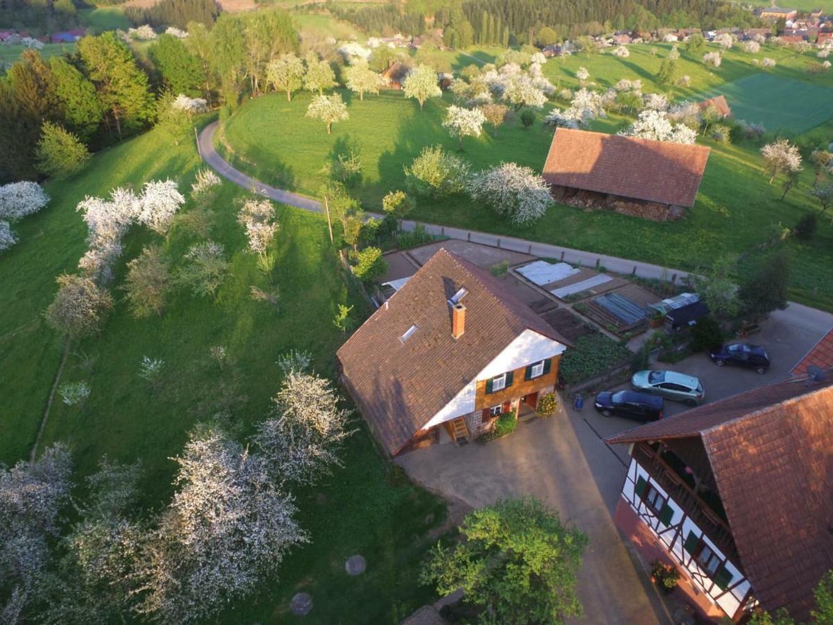 Ferienhaus Eck Villa Zell am Harmersbach Exteriör bild